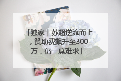 独家｜苏超逆流而上，赞助费飙升至300万，仍一席难求